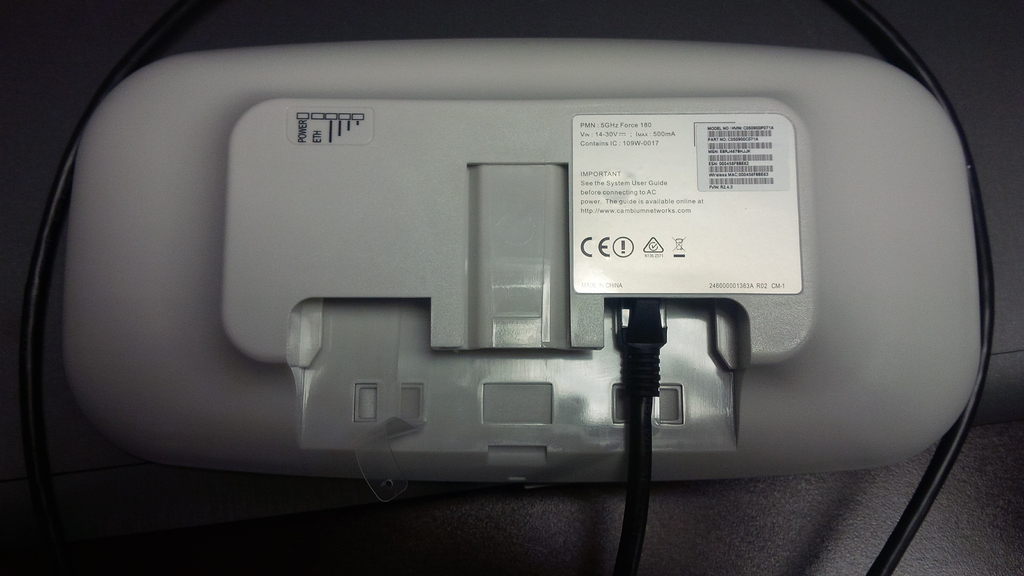 hot pink cortez shoes